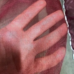 シラスウナギ 用　小型定置網の画像