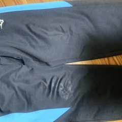 桐生第一高校　体育着　一式の画像