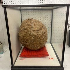 【M-103】オブジェ 雀蜂の巣 スズメバチ ハチの巣 Yahoo!オークション - 7753 オブジェ 雀蜂の巣 スズメバチ