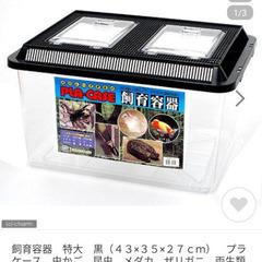 プラ水槽　無料で！
