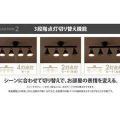 モダンデコ　シーリングライト　電球4個付きの画像