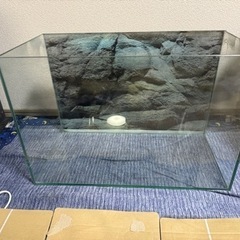 水槽セット