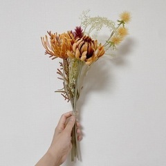 生活雑貨 家庭用品 ガーデニングの画像