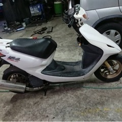 DIO Z4 自賠責2年付き