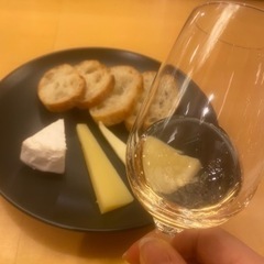 ワイン仲間募集中🍷✨