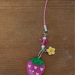 ディズニーリゾート　ストラップ５個セットの画像