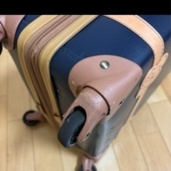 コウペンちゃん キャリーケースの画像