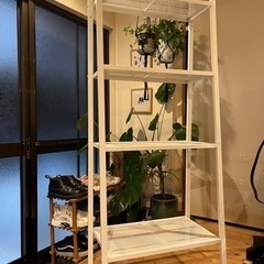 IKEA イケア　シェルフ　棚