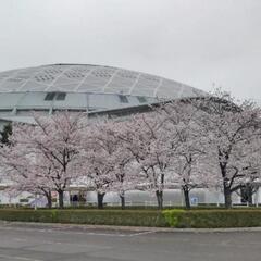 【無料】3/24(日)バンテリンドーム13時半試合開始 中日ドラ...