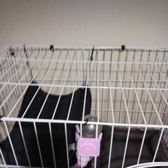 キャットゲージ2階建ての画像