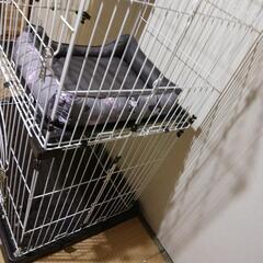 キャットゲージ2階建ての画像