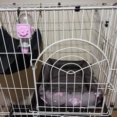 キャットゲージ2階建ての画像