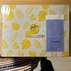 チョコザップ・スターターキット&夏キット