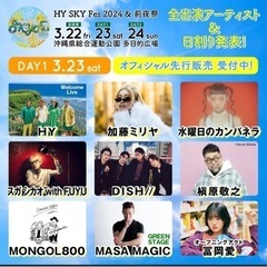 最安値 HYスカイフェス 3月23日24日 通し券2枚セット