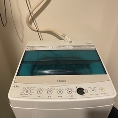 家電 生活家電 洗濯機