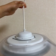 生活雑貨 食器 プレートの画像