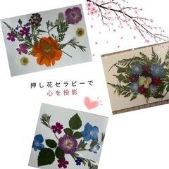押し花セラピー認定レッスンの画像