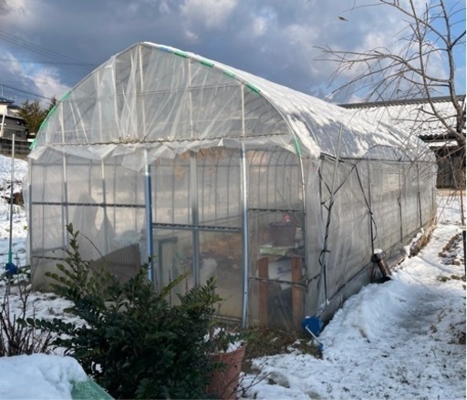 ビニールハウス