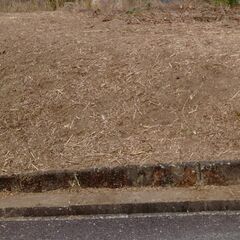 四日市市・鈴鹿市・亀山市・津市で草刈り作業を行います【価格と丁寧さに自信あり！草刈り専門店】 - 鈴鹿市