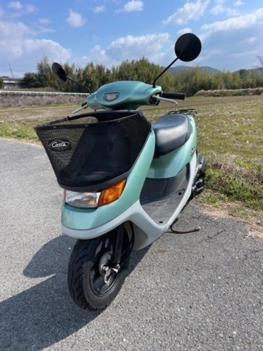 DIO CESTA 2スト ライトグリーン