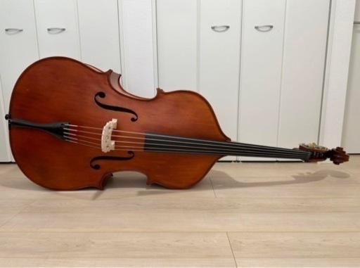 【新品・未使用】グリガ　Gliga    ウッドベース    4/4    5弦