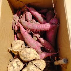 鈴鹿市で使っていないトラクターを貸してください（購入も含めまして）