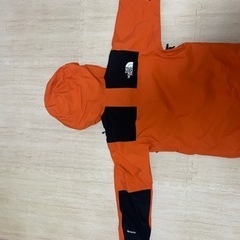 THE NORTH FACE Mountain Jacket GORE-TEXの画像