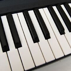 CASIO 電子キーボード CTK-80 49鍵盤 電源アダプター付き カシオトーン 元箱付き カシオ 札幌市 清田区 平岡の画像