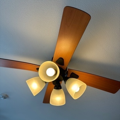 家具 照明器具