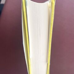 「今、空に翼広げて」　山本 悦子 (著)の画像