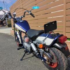 きまりました!(^^)!！　　ホンダ　ジャズ　　実働整備車　　　合志市発の画像