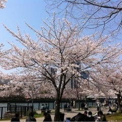 4/6(土)🌸大阪で1番のお花見友活🌸2024春楽しみましょう🥰
