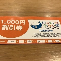 釣って見つけるぼうけんの国1,000円割引券