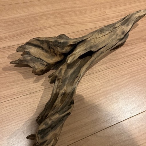 天然流木  アク抜き処理済　沈水処理済　ビオトープ　爬虫類　水槽レイアウト