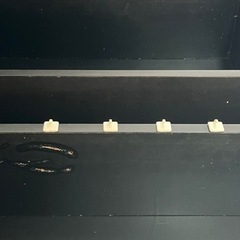 決まりました！文庫本ラック（貰ってください）の画像