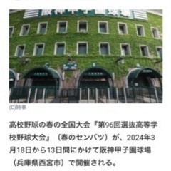 3/19 春の選抜高校野球大会チケット