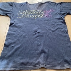 ありがとうございました‼️ラスト‼️メンズTシャツLサイズの画像