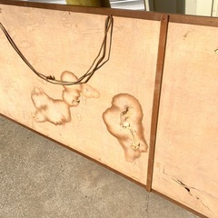 扁額 郵政大臣   筆 五字 扁額 旧家蔵出品　横175 縦49　古民具　DIY 床の間飾りの画像