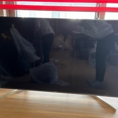 家電 テレビ 液晶テレビ