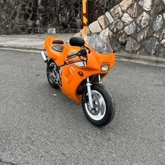 nsr50