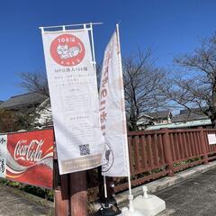第5回にゃっちんぐ譲渡会in別府コミュニティセンター芝居の湯♨️ - その他