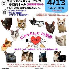 第5回にゃっちんぐ譲渡会in別府コミュニティセンター芝居の湯♨️