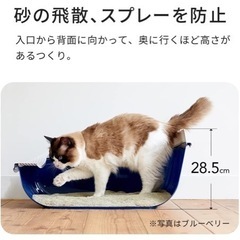 猫 トイレ 大型の画像