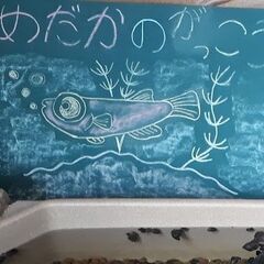 親子参加型企画【おそらtoめだか】お手伝いさん募集
