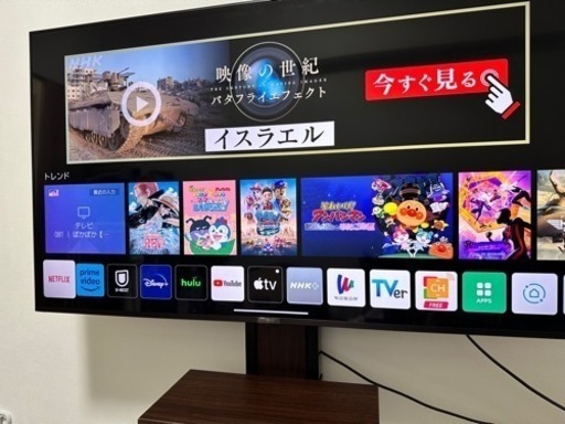 家電 テレビ 液晶テレビ