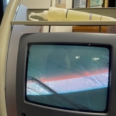 頭皮拡大カメラの画像