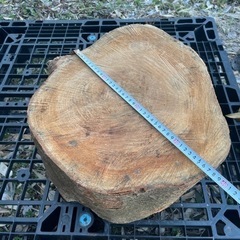 めっちゃ頑丈な堅い木　大きさ様々応談の画像