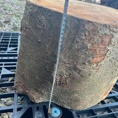 めっちゃ頑丈な堅い木　大きさ様々応談の画像