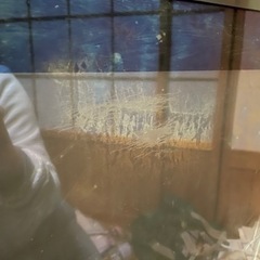 【9/16まで】テレビ Panasonic 42型 すぐ使えますの画像