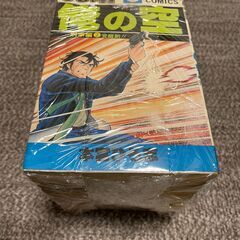 俺の空　本宮ひろ志　コミック本
